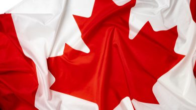 برنامه مهاجرتی استانی